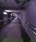 石見銀山龍源寺間歩坑道出口付近