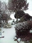雪景色1