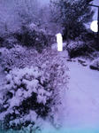 雪景色2