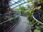 みとろフルーツパーク・温室内部１