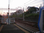 夕日に向かいて