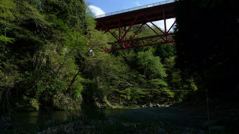P1030617.jpg