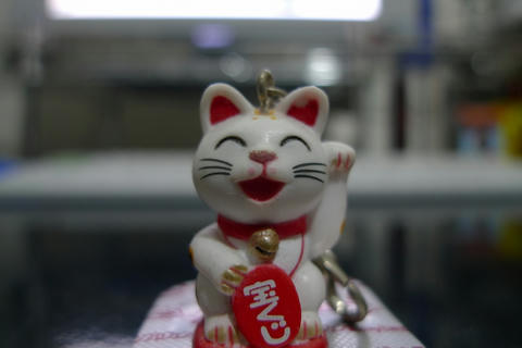 P1030970.jpg