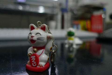 P1030969.jpg