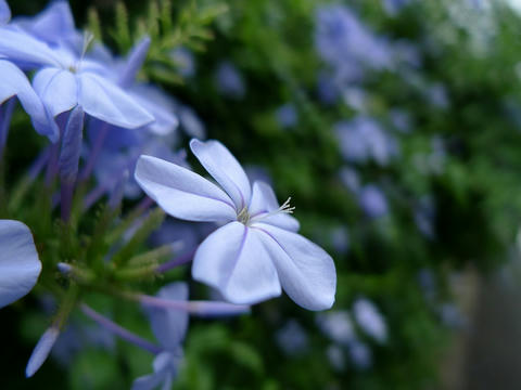 P1000162.jpg