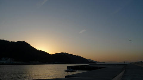 P1030509.jpg