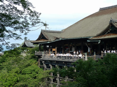 P1040336.jpg