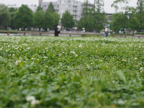 P7030039.jpg