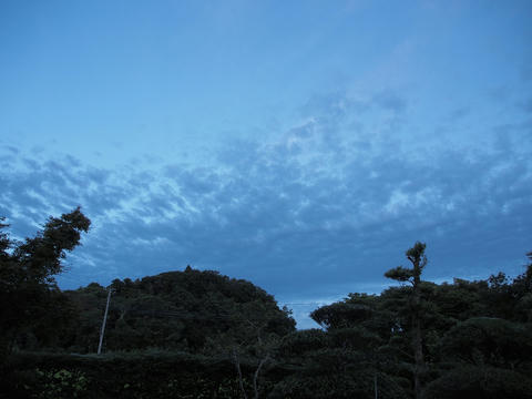 P7110363.jpg