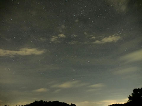 P7110380.jpg