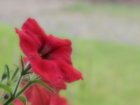 P7120399.jpg