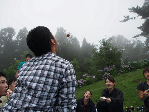 P7220665.jpg
