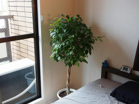 P9231235.jpg