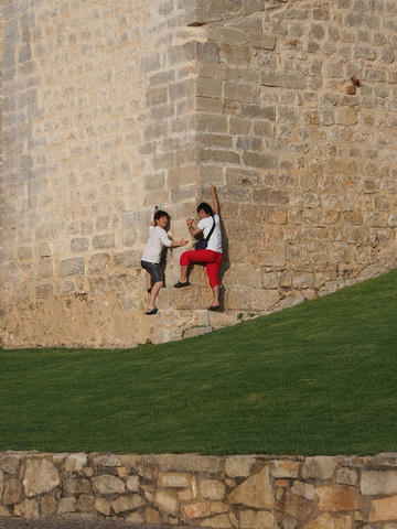 P9070964.jpg