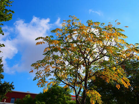 P9091108.jpg