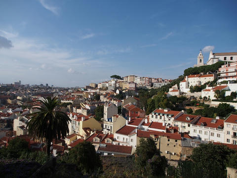 P9101149.jpg