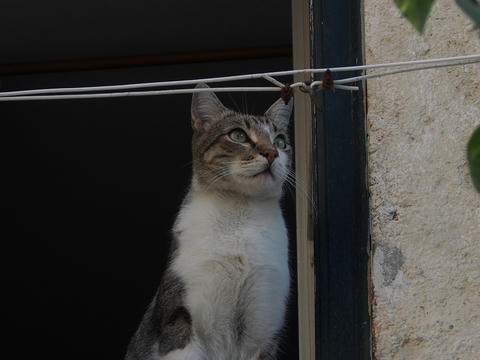 P9101159.jpg
