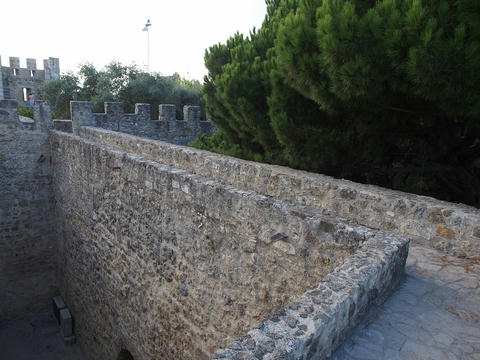 P9101186.jpg