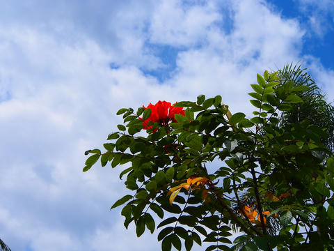 P7301430.jpg