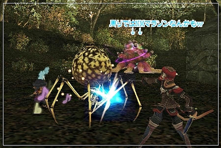 NMマラソンはこの他にも…