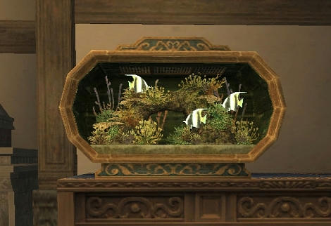 いただき物のアクアリウム（海）
