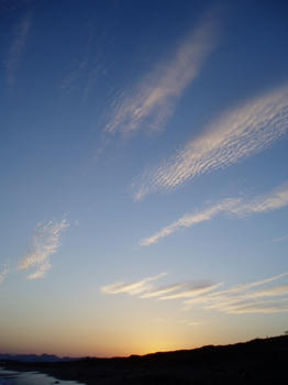 07102202.JPG