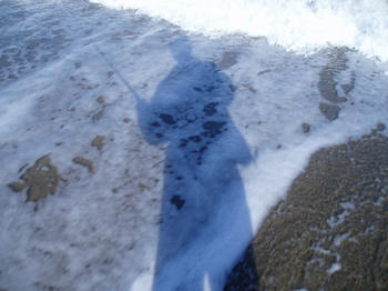 080106.JPG