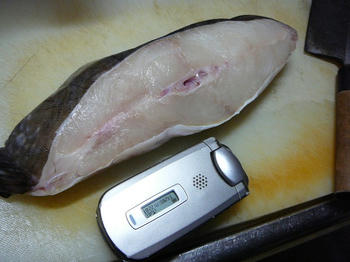 08013001.JPG