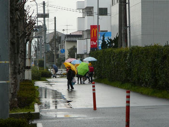 08020101.JPG