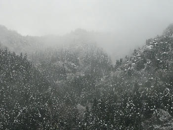 08020102.JPG