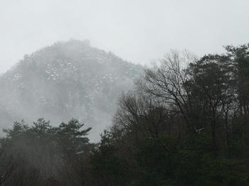 08020103.JPG