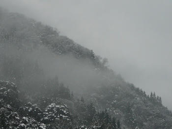 08020104.JPG
