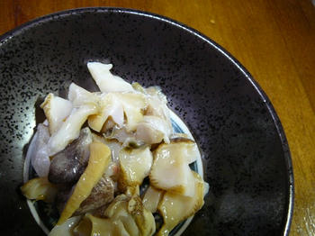08020502.JPG