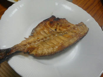080223.JPG