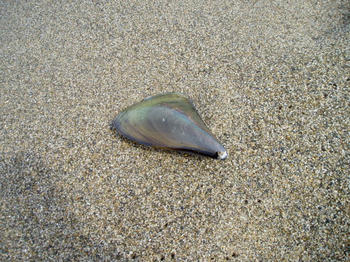 08030203.JPG