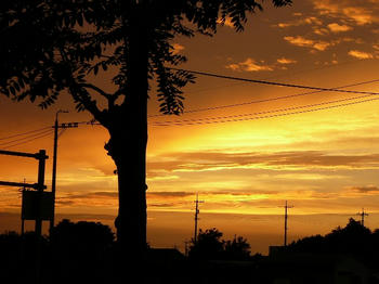 080807.JPG