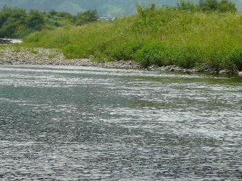 080912.JPG