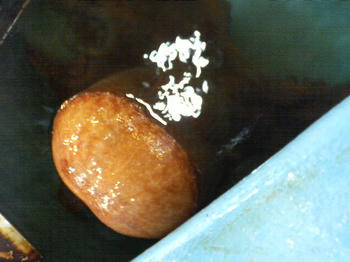 08102601.JPG