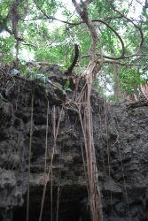 ★タイの寺院みたい★