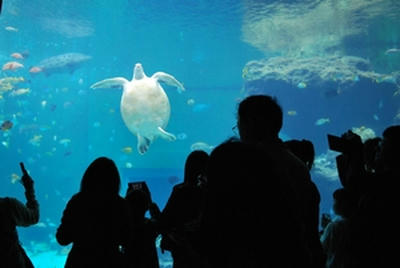 ★いろんなポーズで自ら写されにきてくれる★