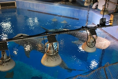 ★上から見ると、また違って見える★