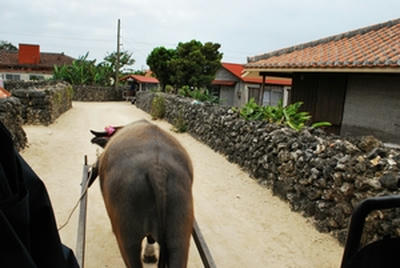 ★民家の間をすり抜けます★