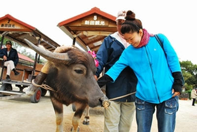 ★おとなしくていい子★