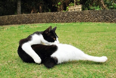 ★背骨の構造はどうなってるんだろう★