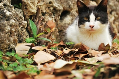 ★かわいすぎる★