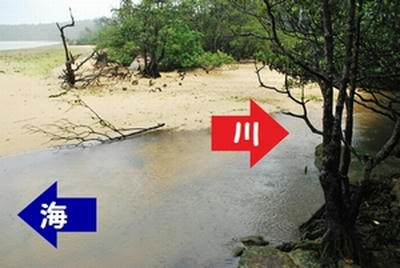 ★海と川の境目★