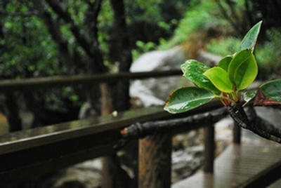 ★距離が近い★