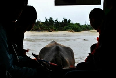 ★日本じゃないみたい★