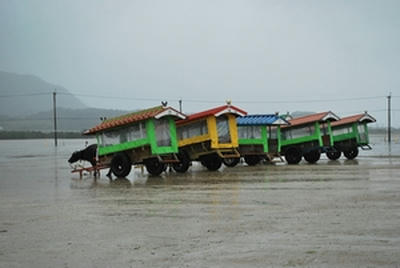 ★駐車もお手のもの★
