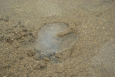 ★結構な深さで刻まれている★